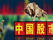 20cm跌停！千元股石头科技崩了，6000余股民懵了，一天亏损200万